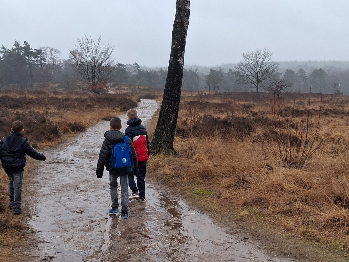 1979Sander tweet media