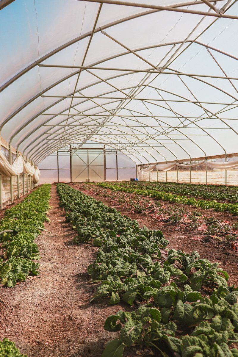 Hunger Task Force tweet media