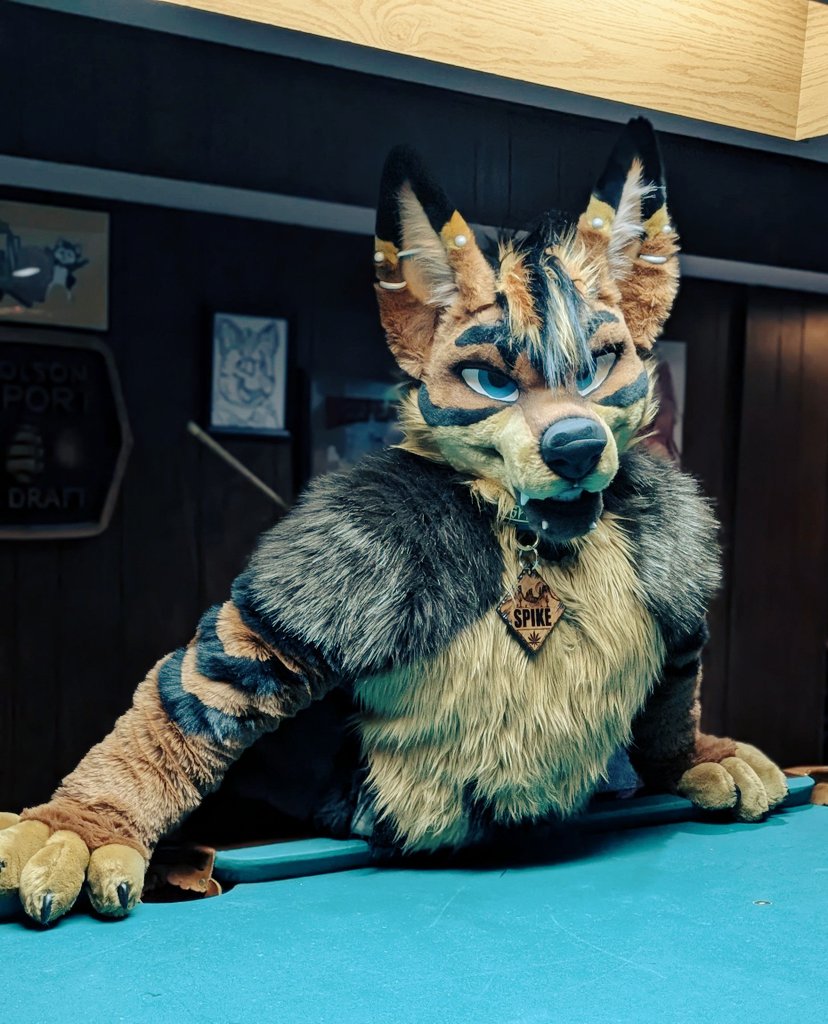 Sp!K3 🌮 🔜 FE & LVFC tweet media