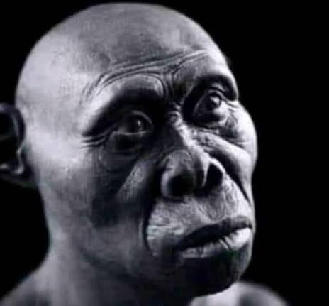 POV : how i see girls with small nyash😡