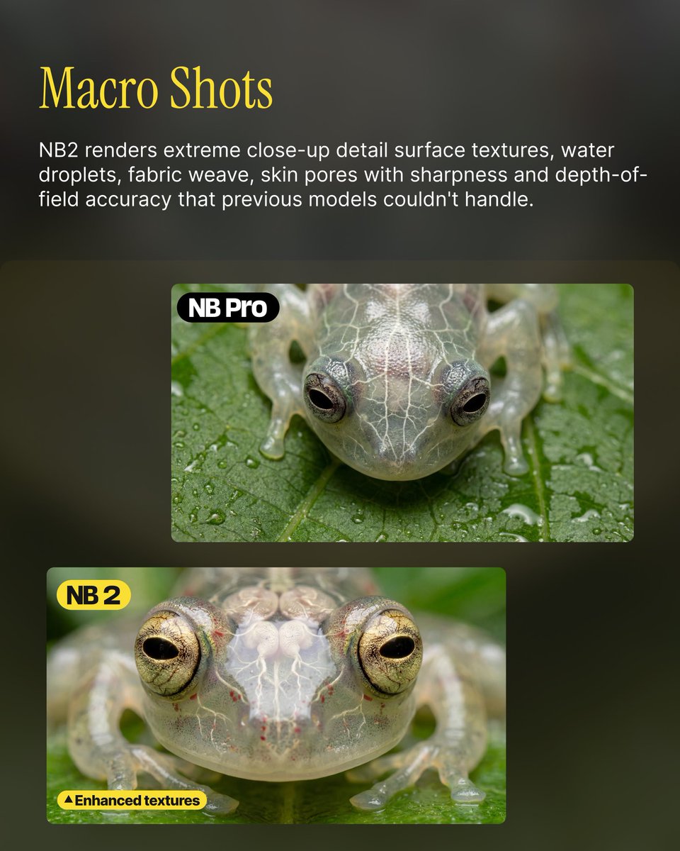 invideoOfficial's tweet photo. Macro Shots: Enhanced Textures https://t.co/DFS0skAv7r
