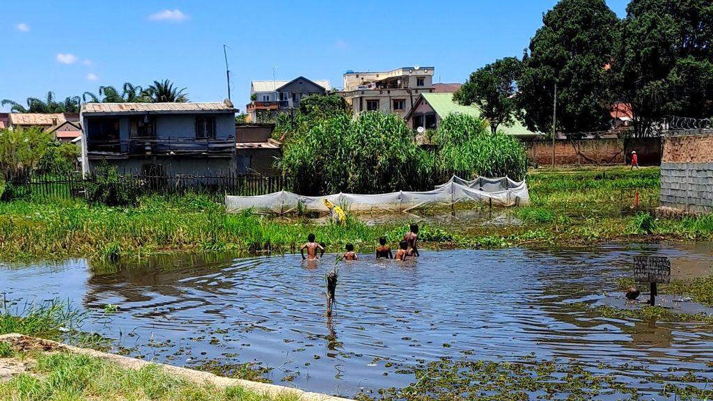 Ted Johnson - Half-Hearted Fanatic tweet media