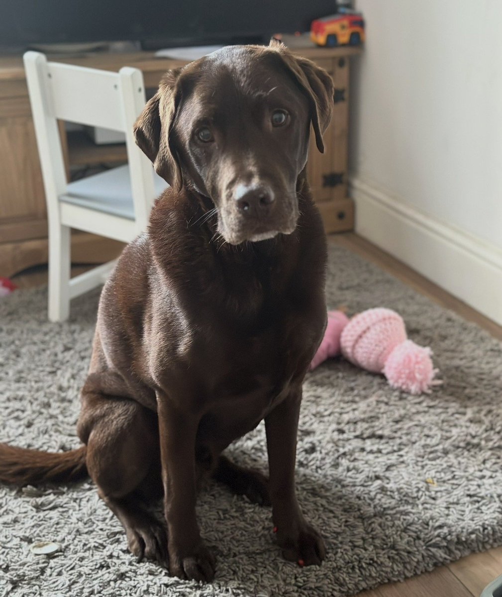 chris towers tweet media