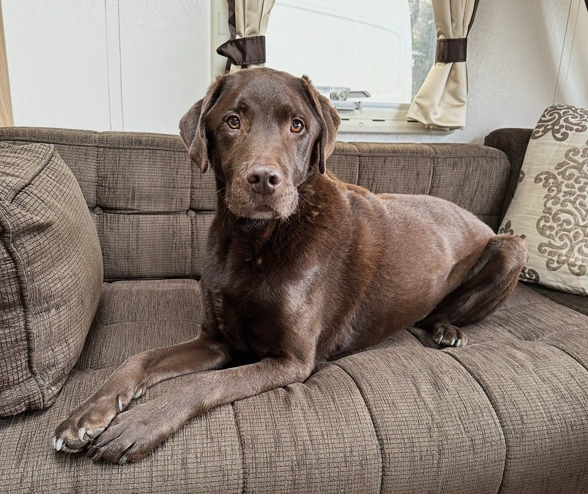 chris towers tweet media