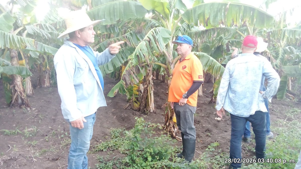 Anelys Ramírez González tweet media