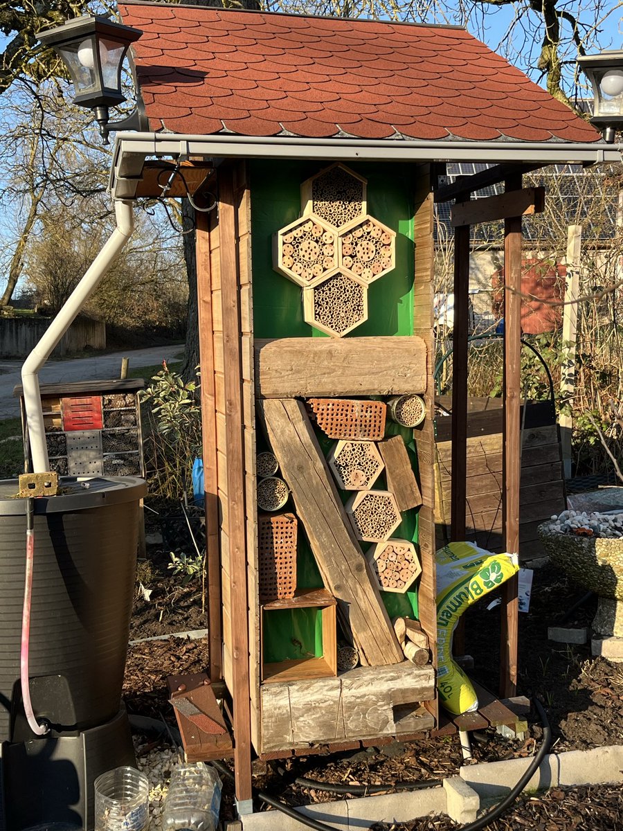 So hab den sonnigen Tag genutzt und an der Rückwand vom Gartenschrank weitergearbeitet.
Die ersten Bienen haben schon Inspektion gemacht.