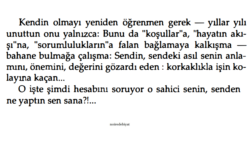 Oruç Aruoba, Hani