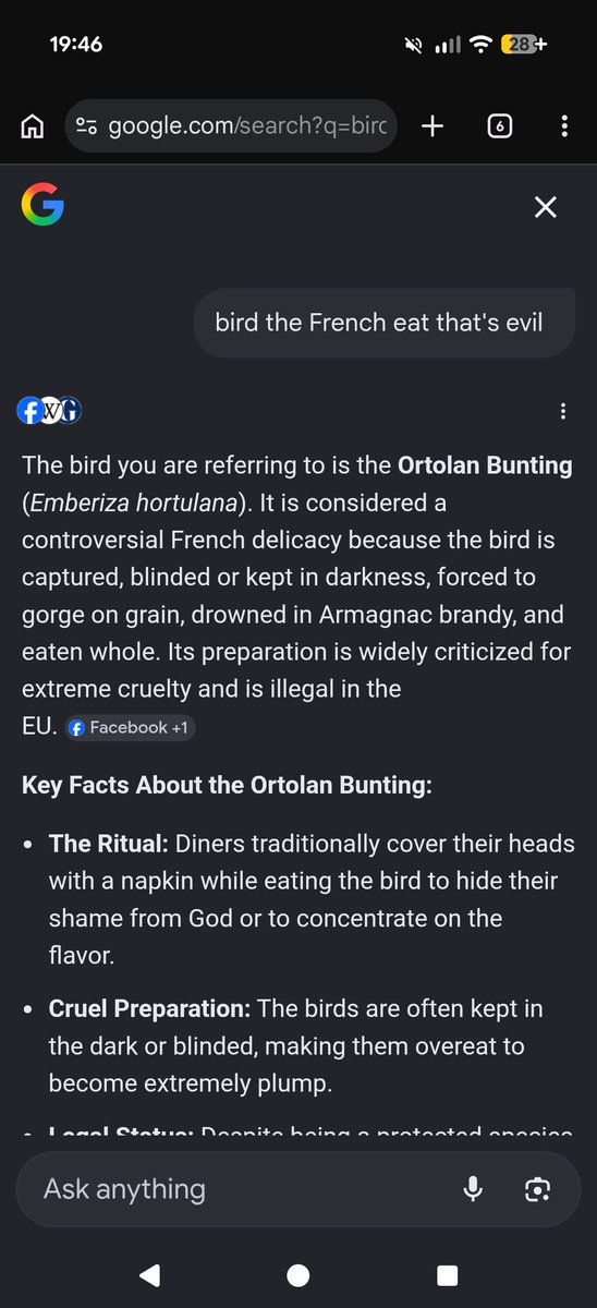 WFFL 🏴 tweet media