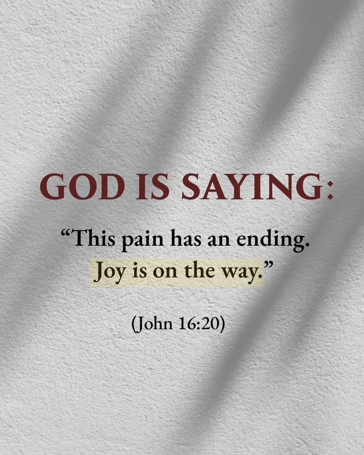Bible 365 (@bible365_) on Twitter photo 