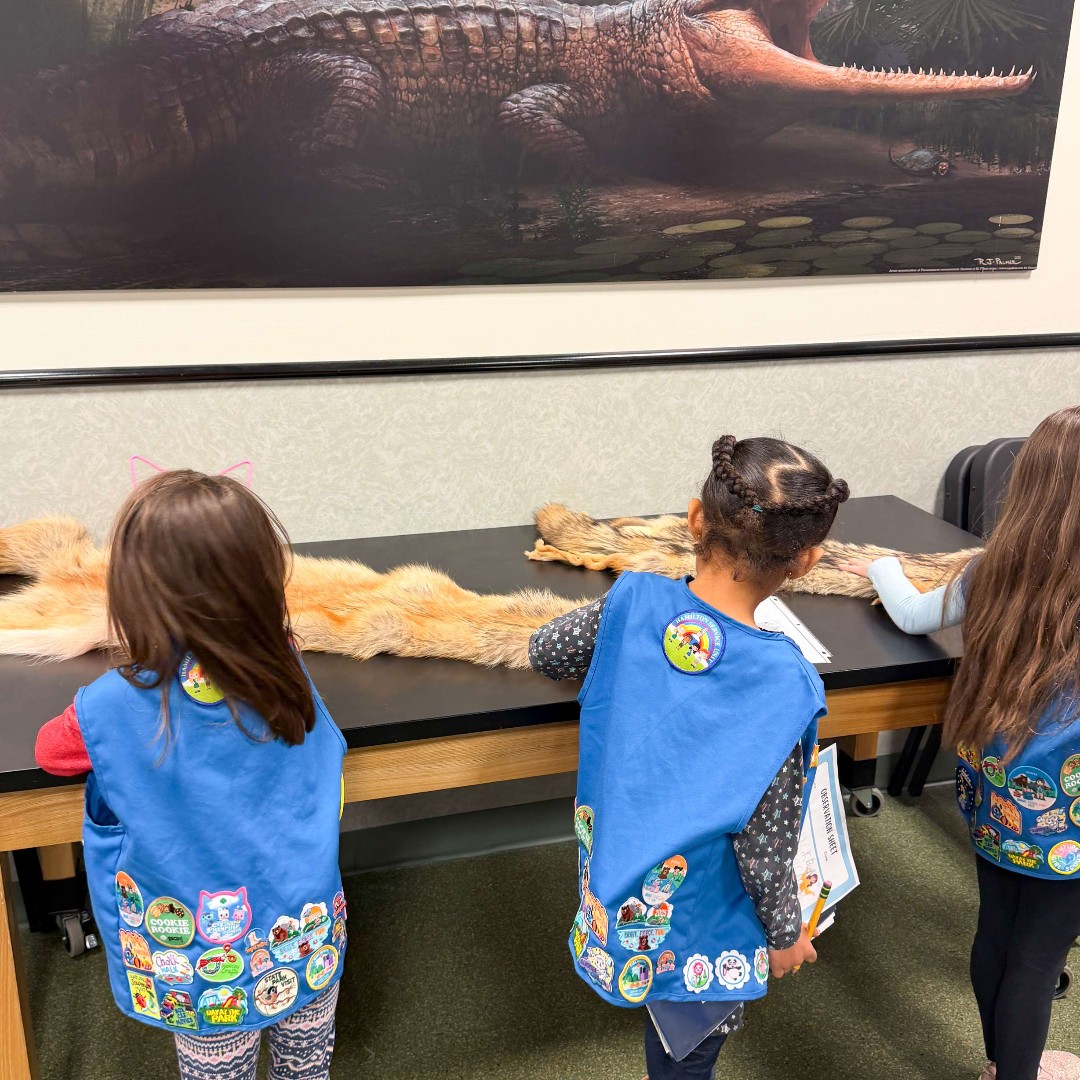 New Jersey State Museum tweet media