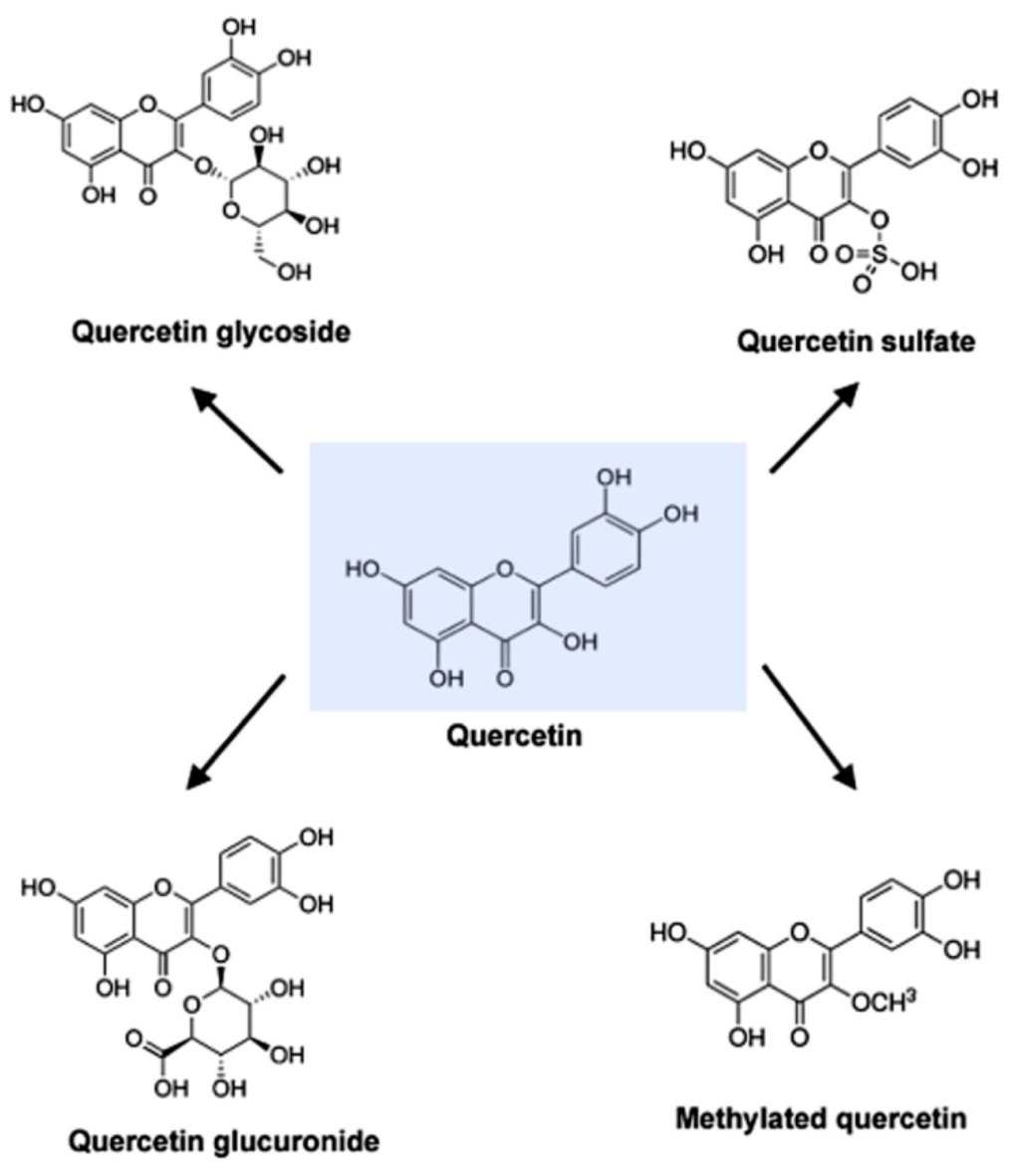 UNtitled tweet media