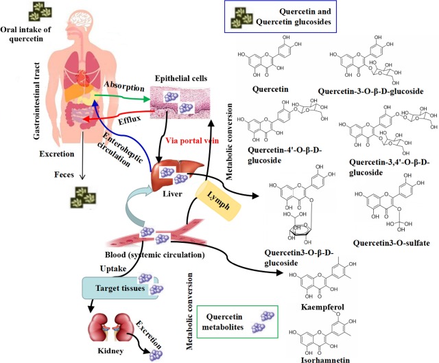 UNtitled tweet media