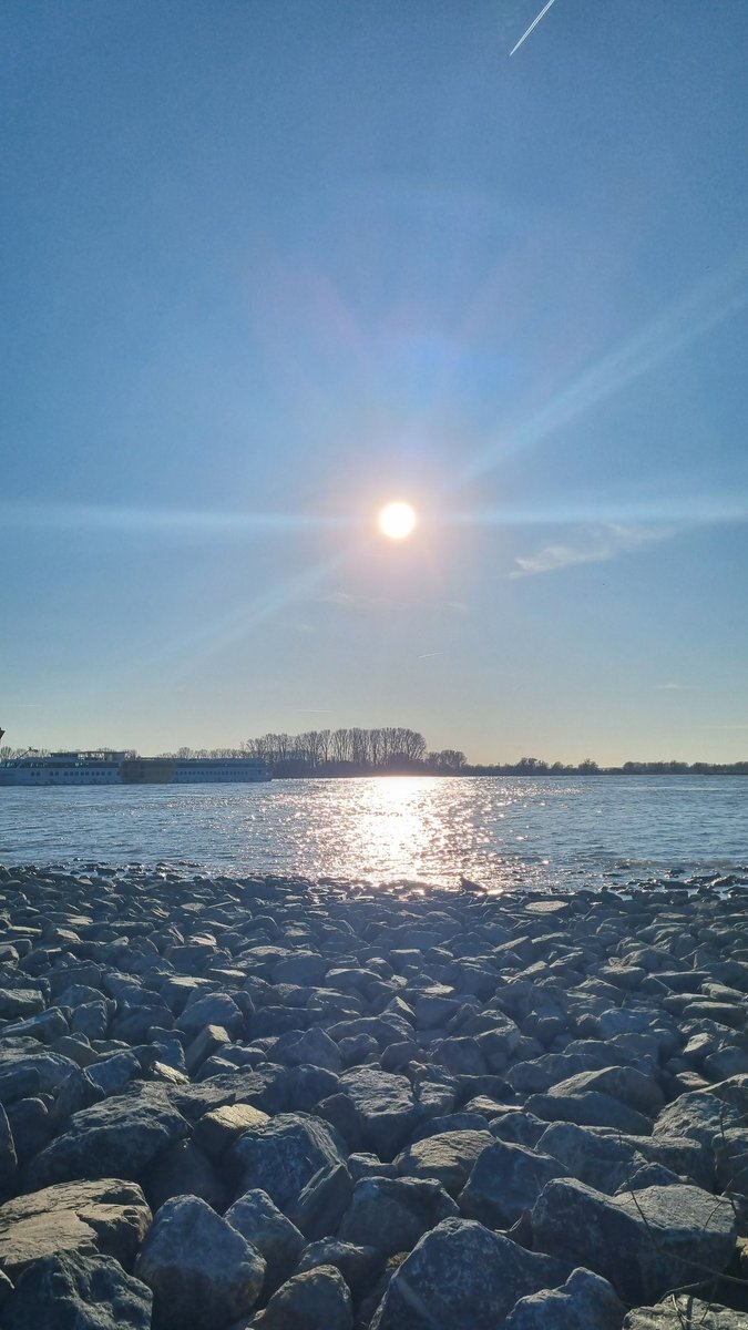 Klungelsmurf71's tweet image. Vanmiddag genoten van het prachtige lente-weer in de haven van #Spijk
Als bonus kwam het schip van de Zonnebloem voorbij gevaren 🏵