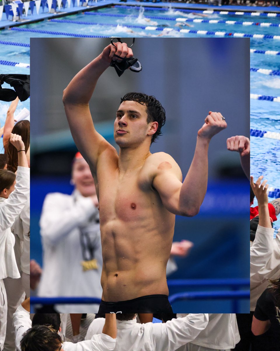 Cincinnati Swim-Dive tweet media