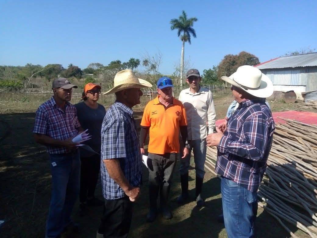 Anelys Ramírez González tweet media