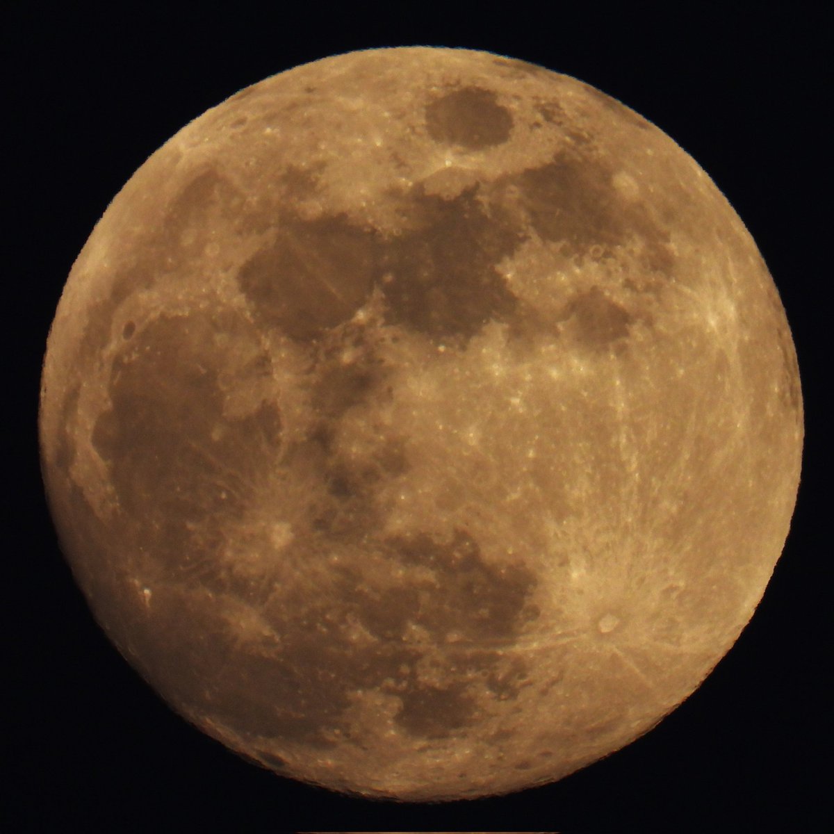 Epiphany tweet media