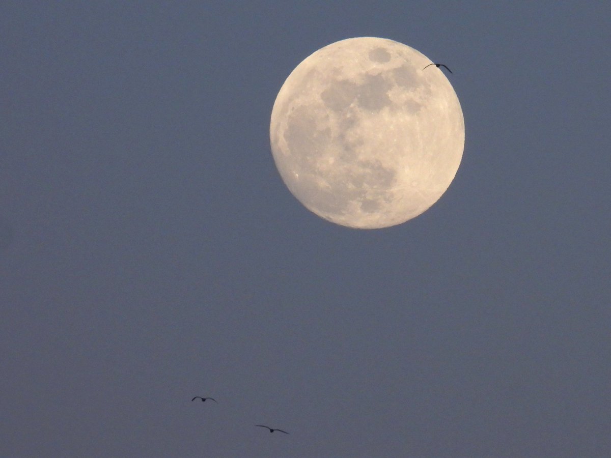 Epiphany tweet media