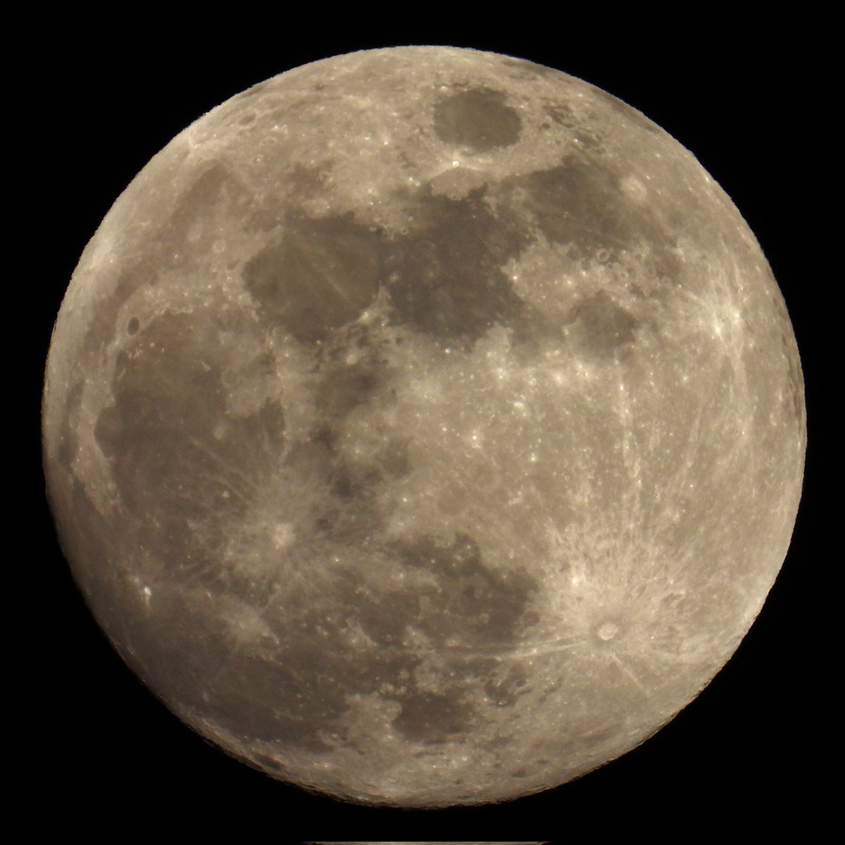 Epiphany tweet media