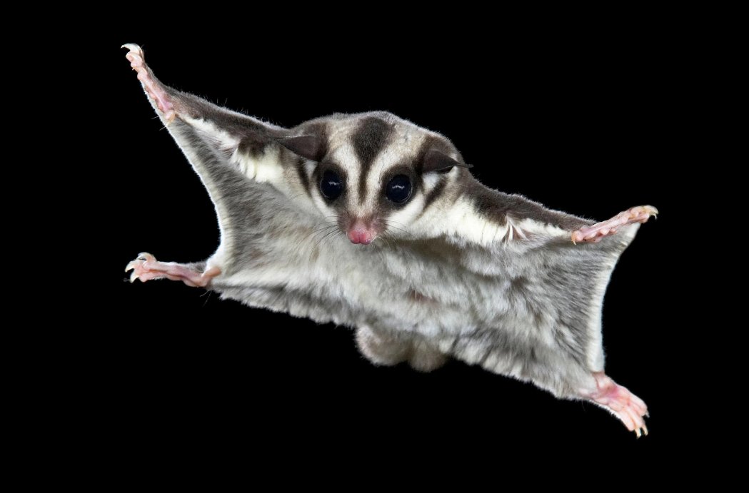 Hazel from Entrelac Yarns🇯🇪 tweet media