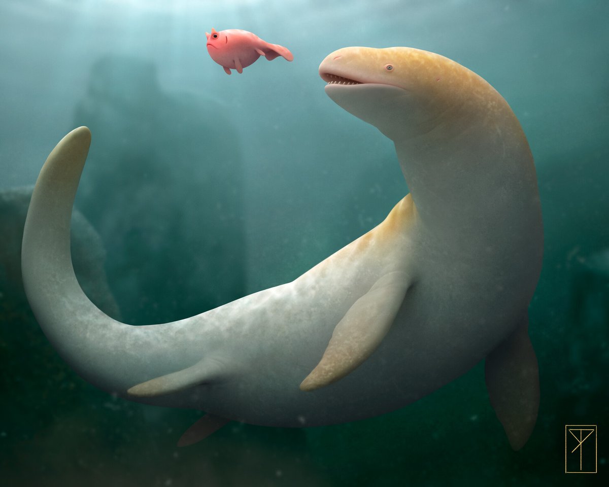 Roberto Ribeiro Padula tweet media