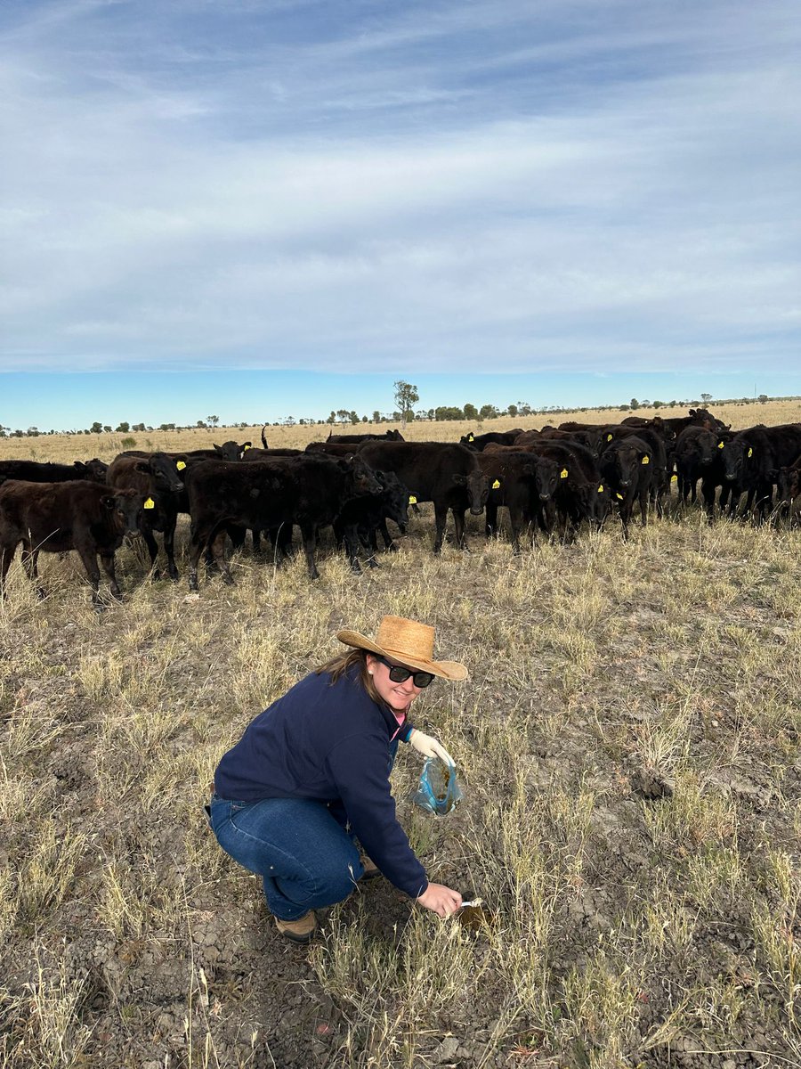 FutureBeef tweet media