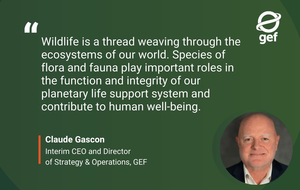 Global Environment Facility (GEF) tweet media