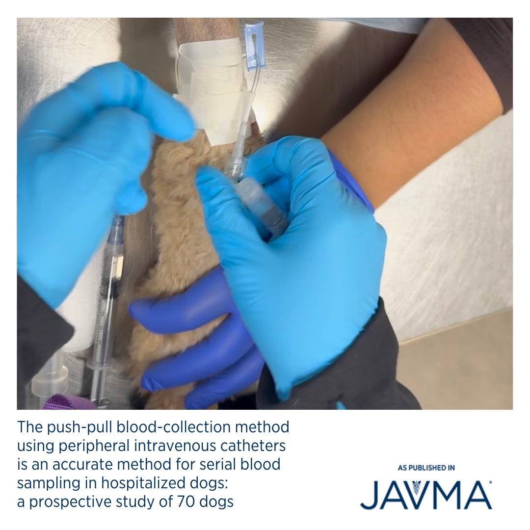 AVMAJAVMA's tweet image. The push-pull peripheral IV catheter sampling protocol may be used to reduce venipuncture in hospitalized dogs. Open access article: jav.ma/pivc1 @upeiavc #blooddraw #hematology #biochemistry #intravenouscatheter #phlebotomy