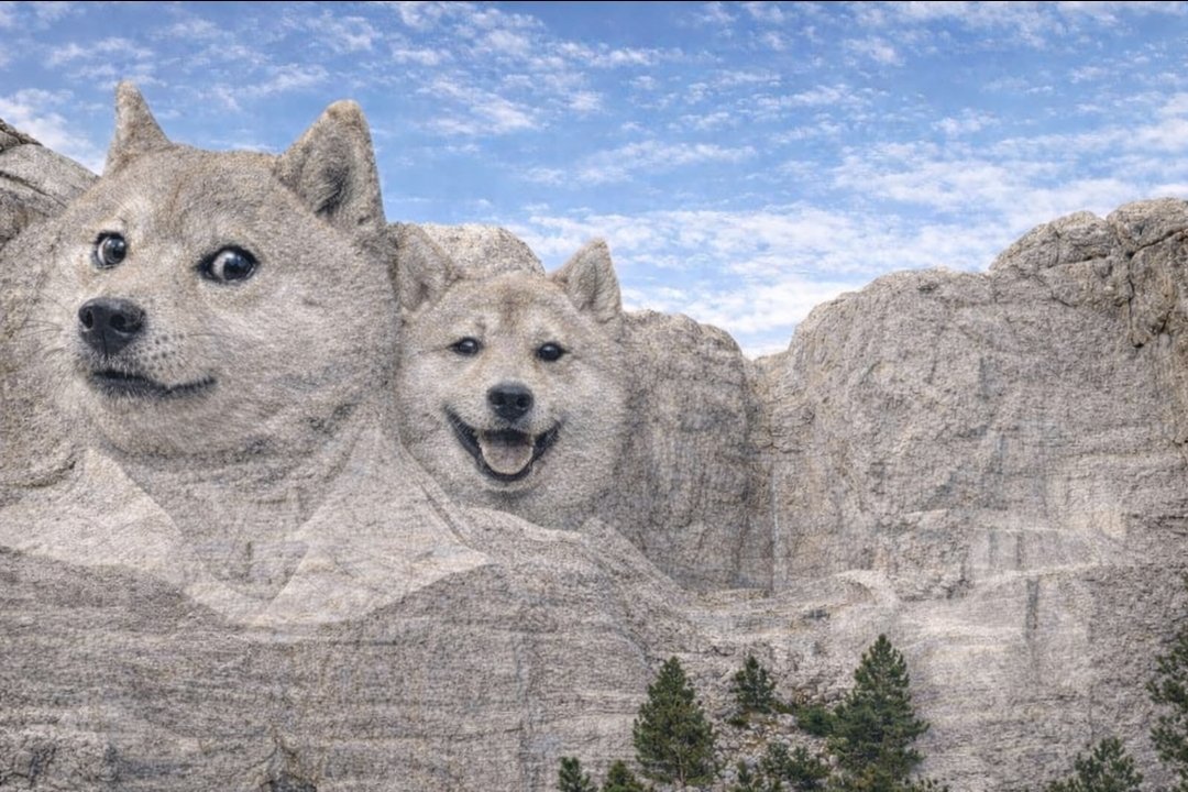 exit.liquidity tweet media