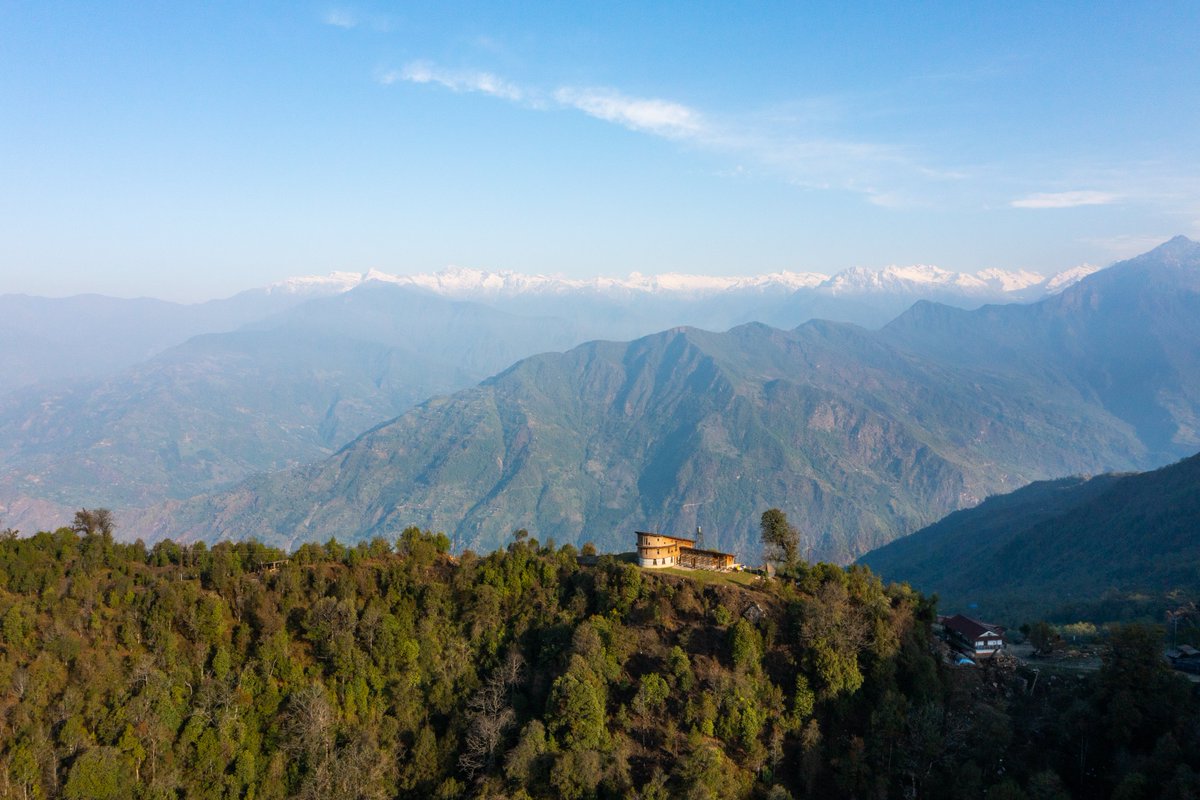 Red Panda Network tweet media