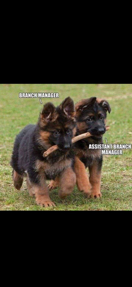 It’s not much, but it’s honest work