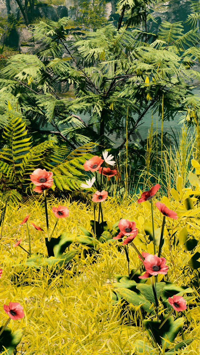 Adamir Sefwick tweet media