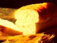 HEALED PLAYLIST: Then came she &amp; worshipped him saying Lord help me but he answered &amp; said It is not meet to take the childrens bread &amp; to cast it to dogs &amp; she said Truth Lord yet the dogs eat of the crumbs which fall from their masters' table youtu.be/2fb4rr57z-E Mt 15:25