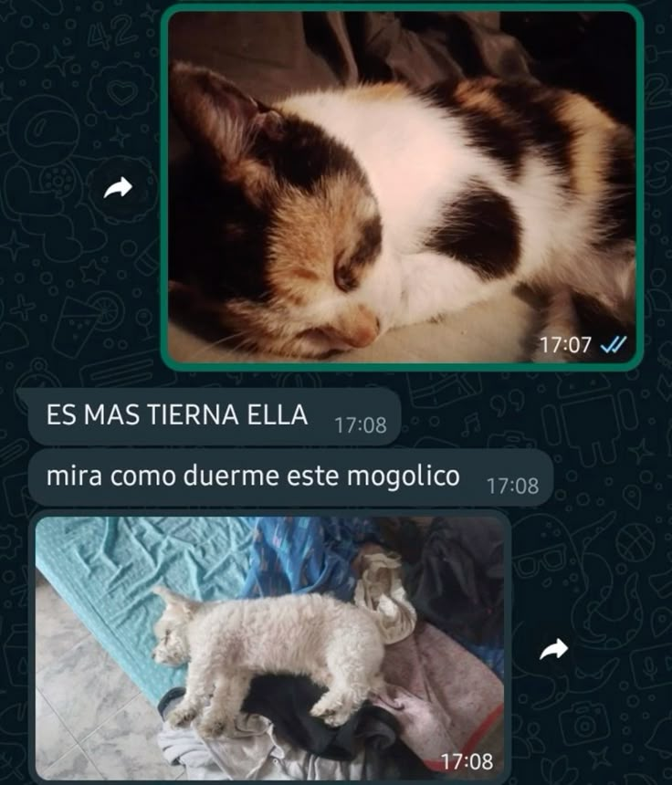 vinoypastis (@vinoypastillas) on Twitter photo 