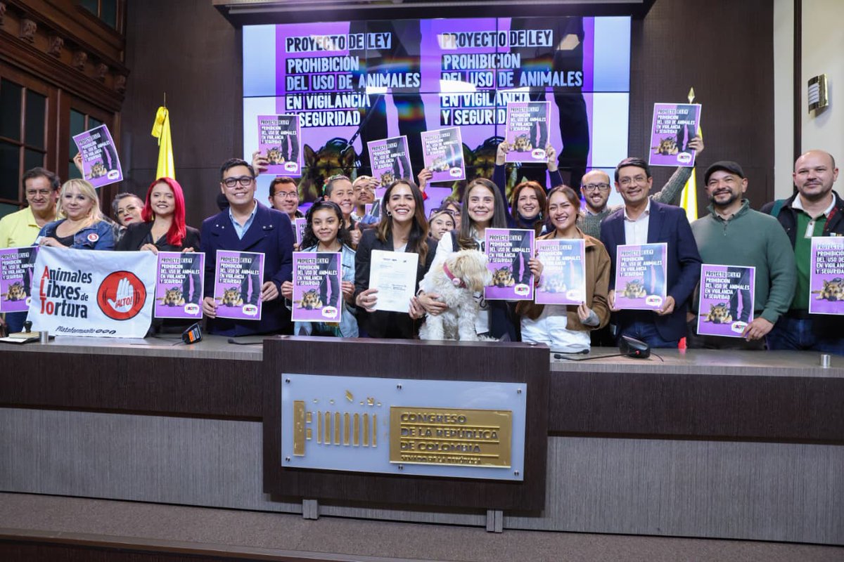 Mafe Carrascal Rojas tweet media