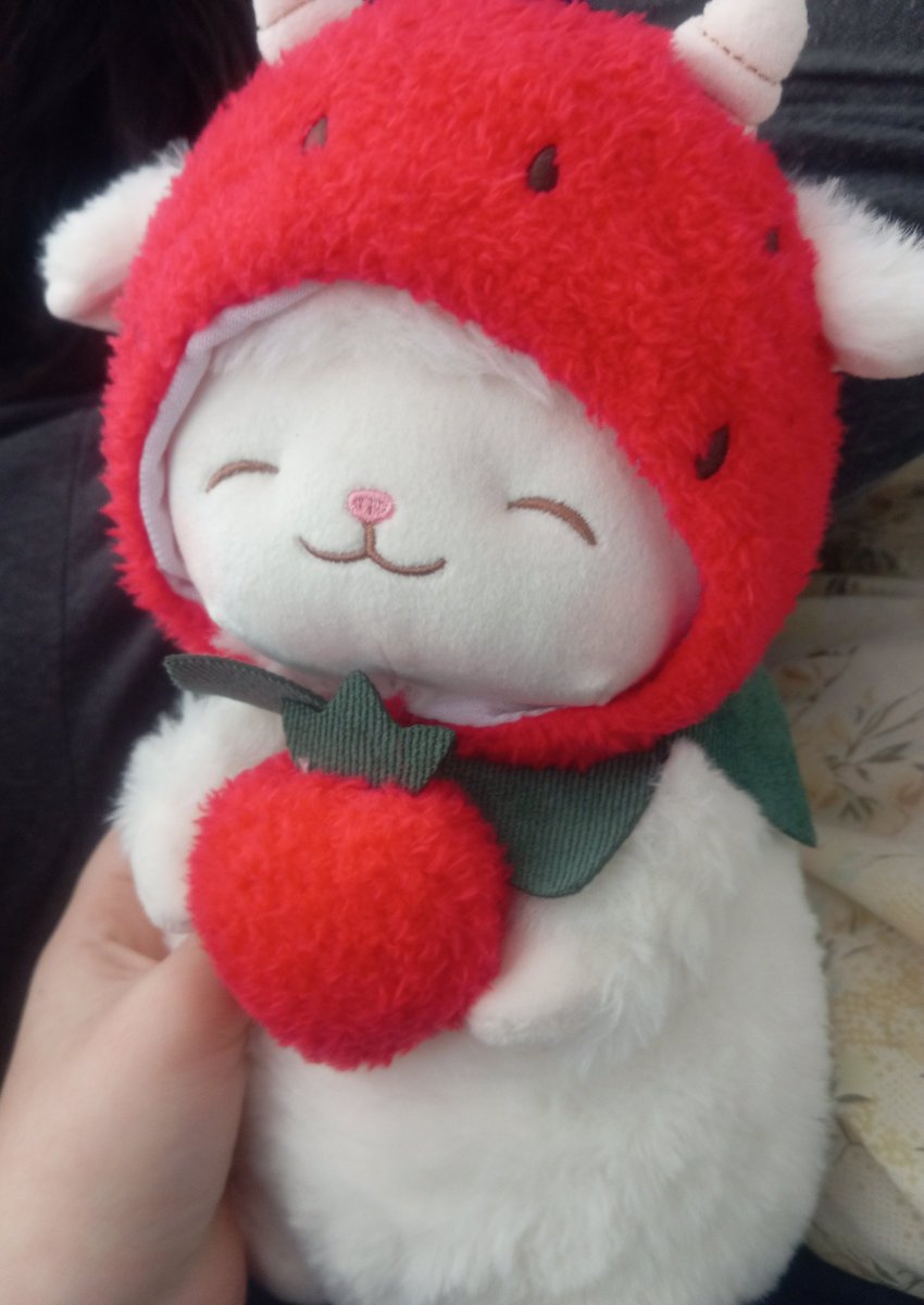 ℛ𝒾𝓉𝒶 𝒜𝓁𝓂ℯ𝒾𝒹𝒶 tweet media