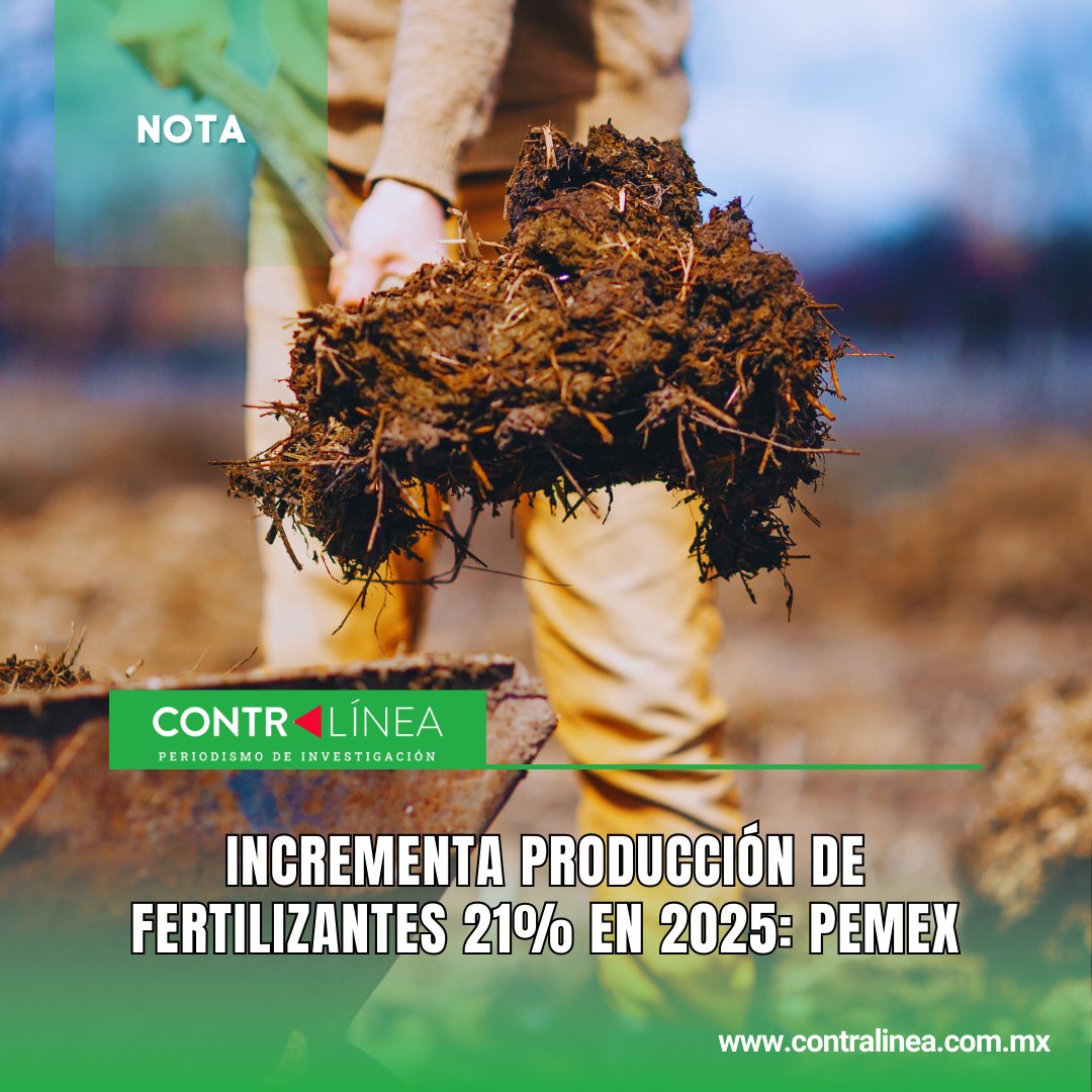 contralinea's tweet image. Incrementa #producción de #fertilizantes 21% en 2025: #Pemex

#Contralínea #PeriodismodeInvestigación

Lee aquí👉🏻 replug.link/56b9464b