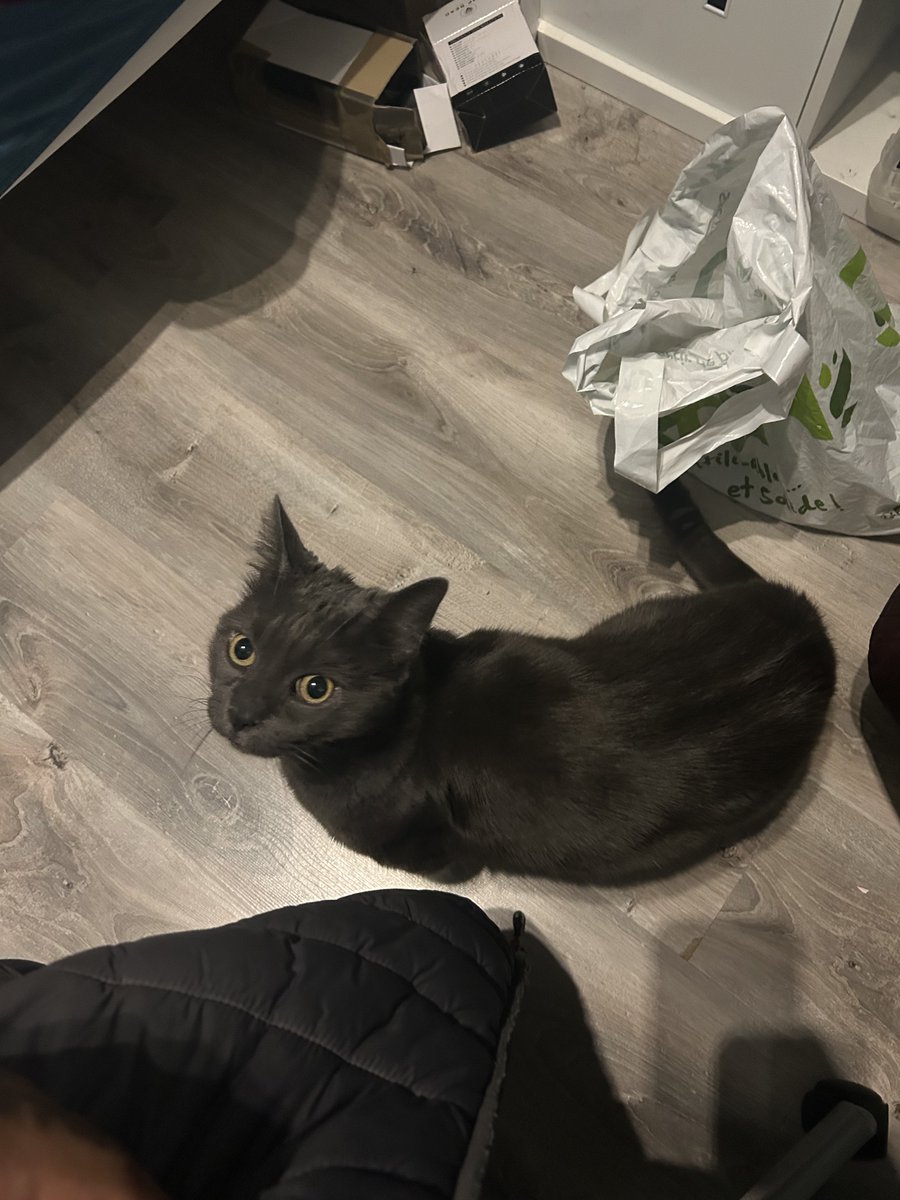 BH3 | Noah tweet media