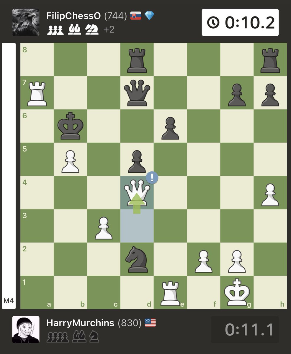 Harry Murchins tweet media