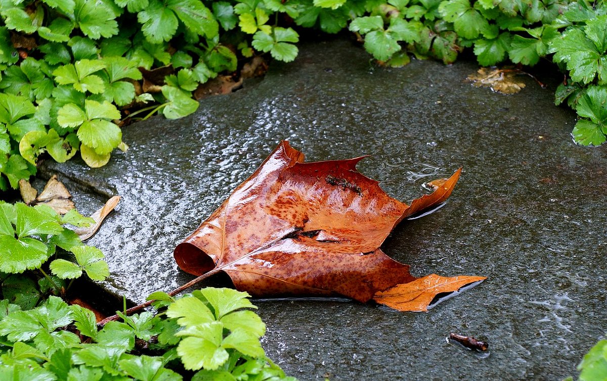 Wolfgang H. tweet media