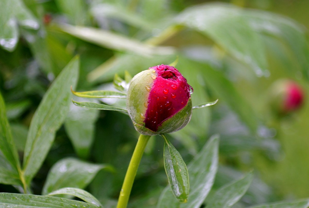 Wolfgang H. tweet media