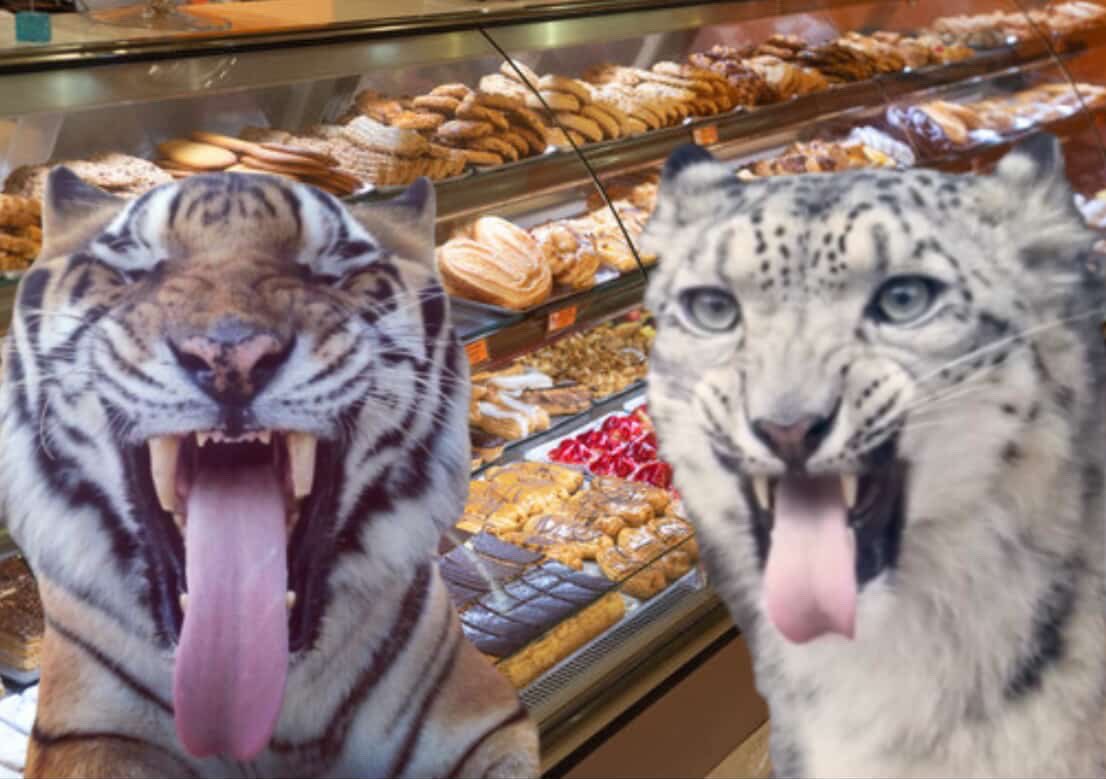 i fucking love bakeries so much