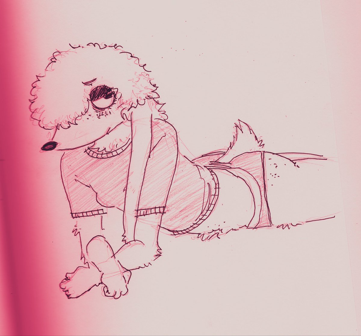 Jody (17+) tweet media