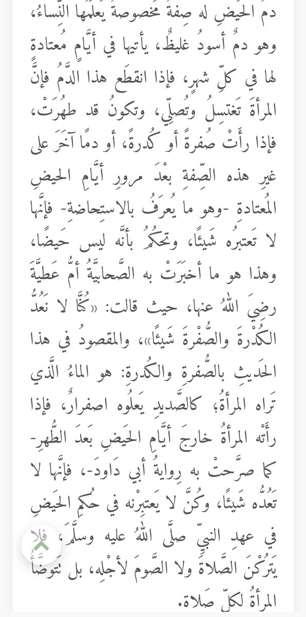 جمّا 🦭 tweet media
