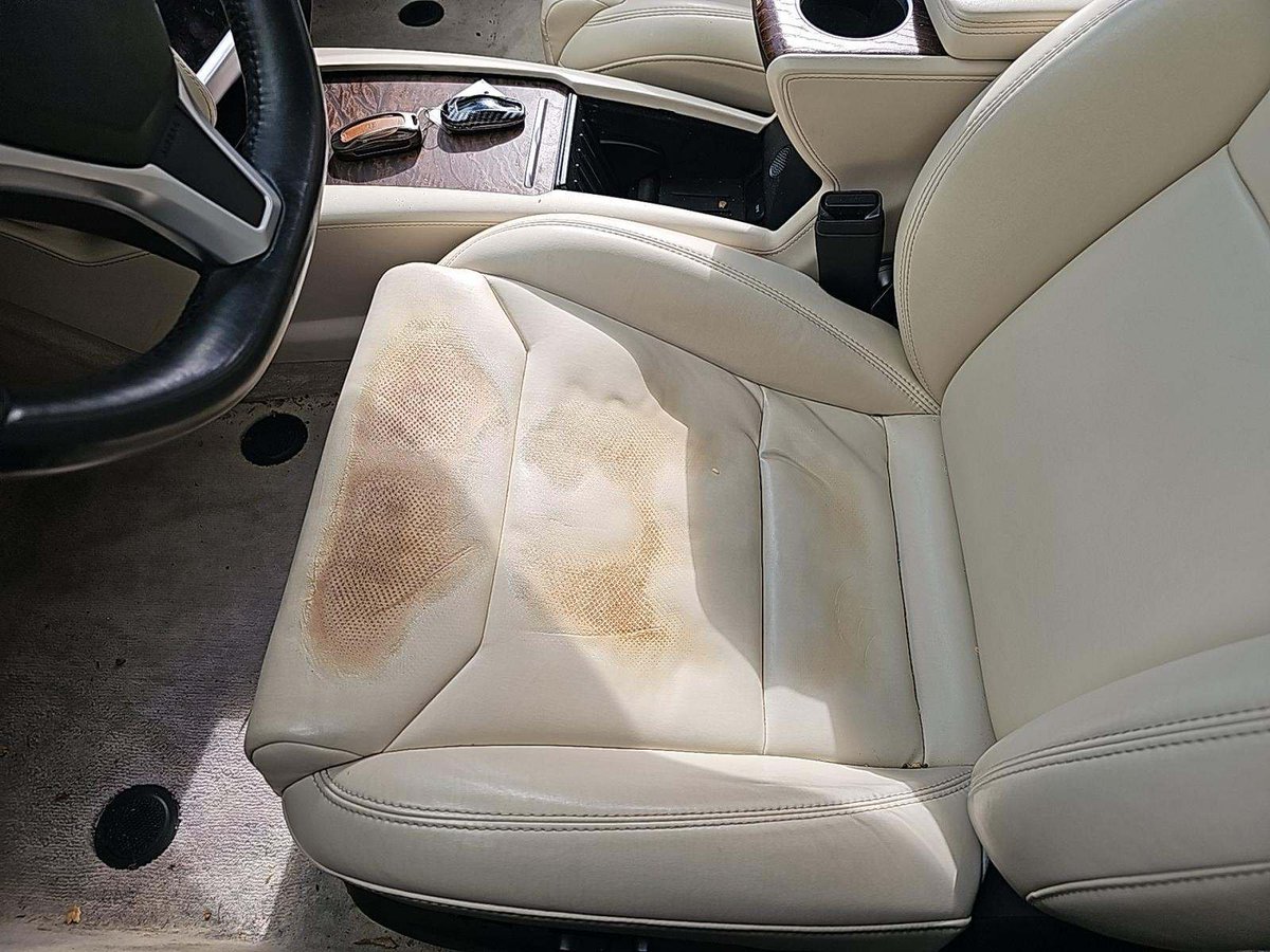 CheapTeslas tweet media