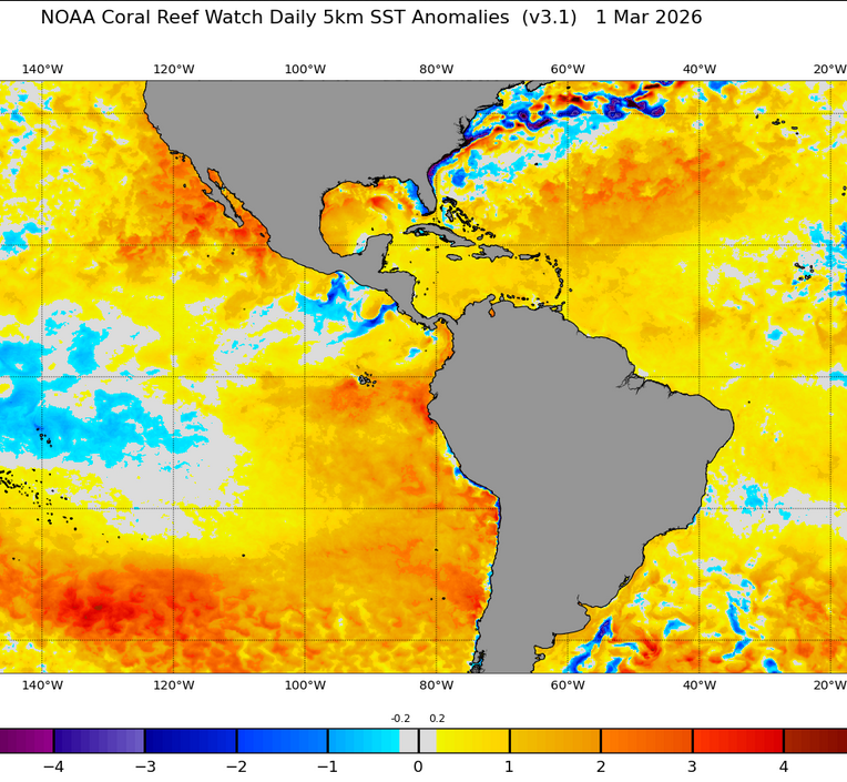Mario___Ramirez's tweet image. 02/03/26   #ElNiño costero    #Región1+2     
#ATSM 

Claro y Conciso: 
#Calentamiento   se incrementa en  Golfo Panama  asociado al debilitamiento de vientos
y disminución de la extensión
del  Afloramiento (aguas frías).

Figs.  01 Marzo 2026  ,  28 , 27  y  26 Febrero 2026