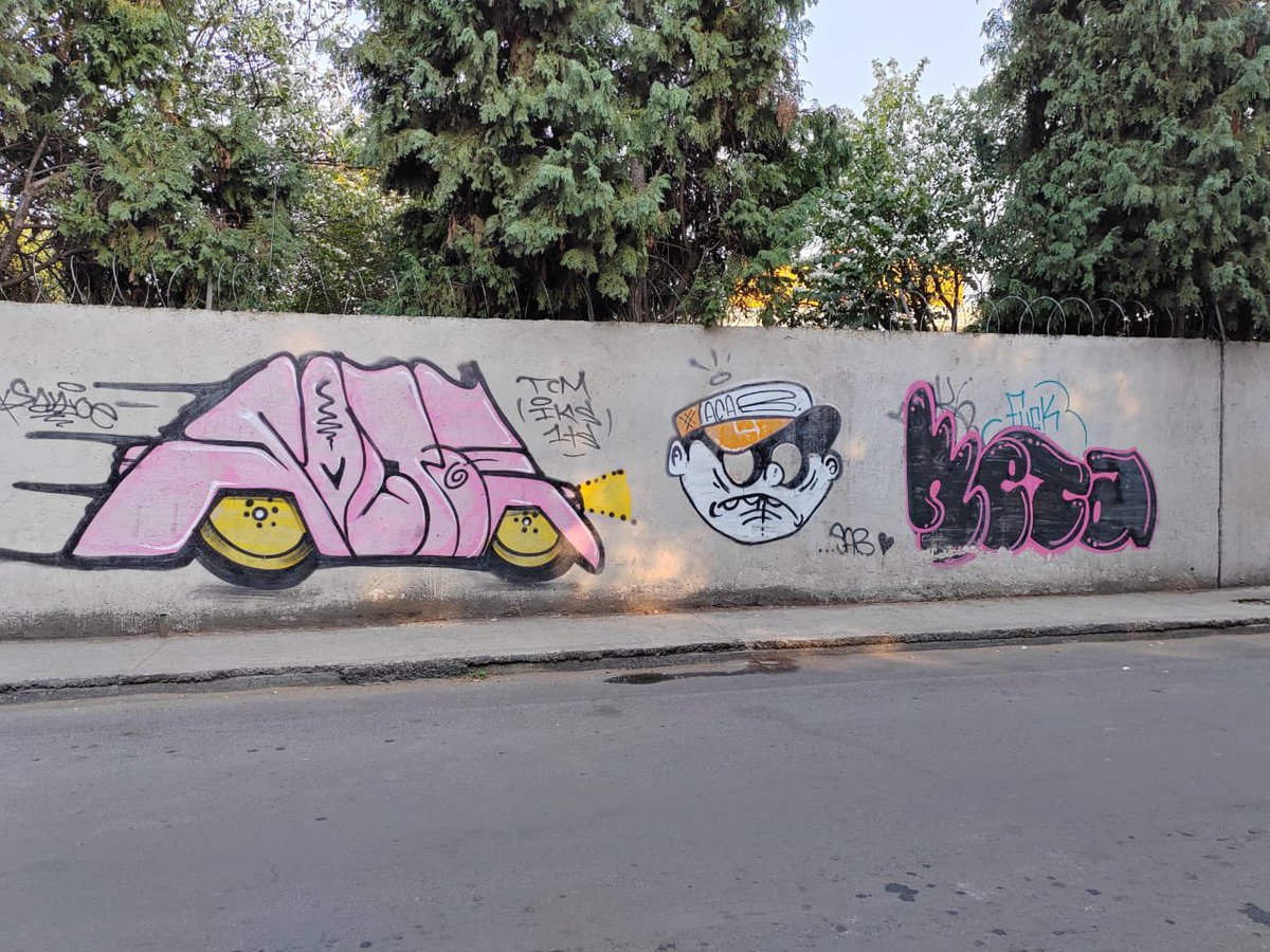 SALTOE • FUCK LA CHOTA • META

#sigueenelcamino