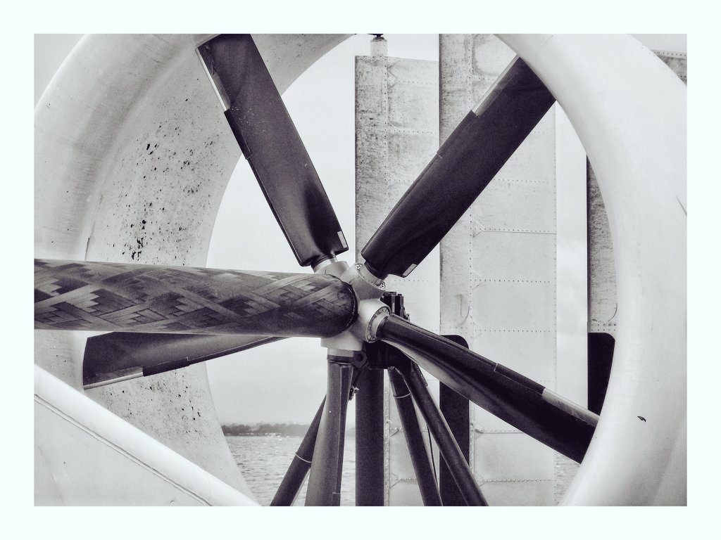 Solivagant tweet media