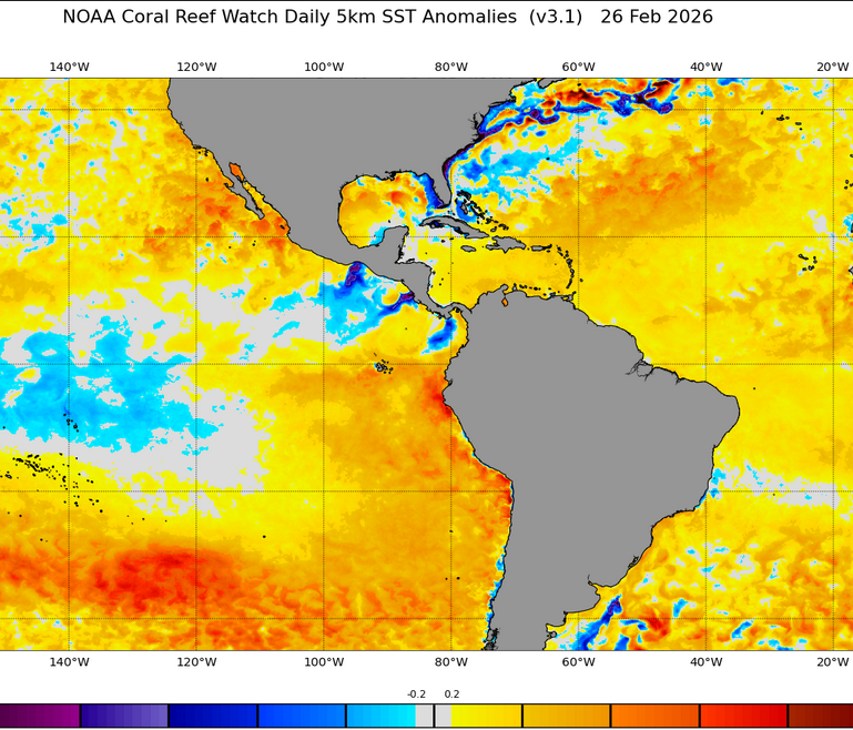 Mario___Ramirez's tweet image. 02/03/26   #ElNiño costero    #Región1+2     
#ATSM 

Claro y Conciso: 
#Calentamiento   se incrementa en  Golfo Panama  asociado al debilitamiento de vientos
y disminución de la extensión
del  Afloramiento (aguas frías).

Figs.  01 Marzo 2026  ,  28 , 27  y  26 Febrero 2026