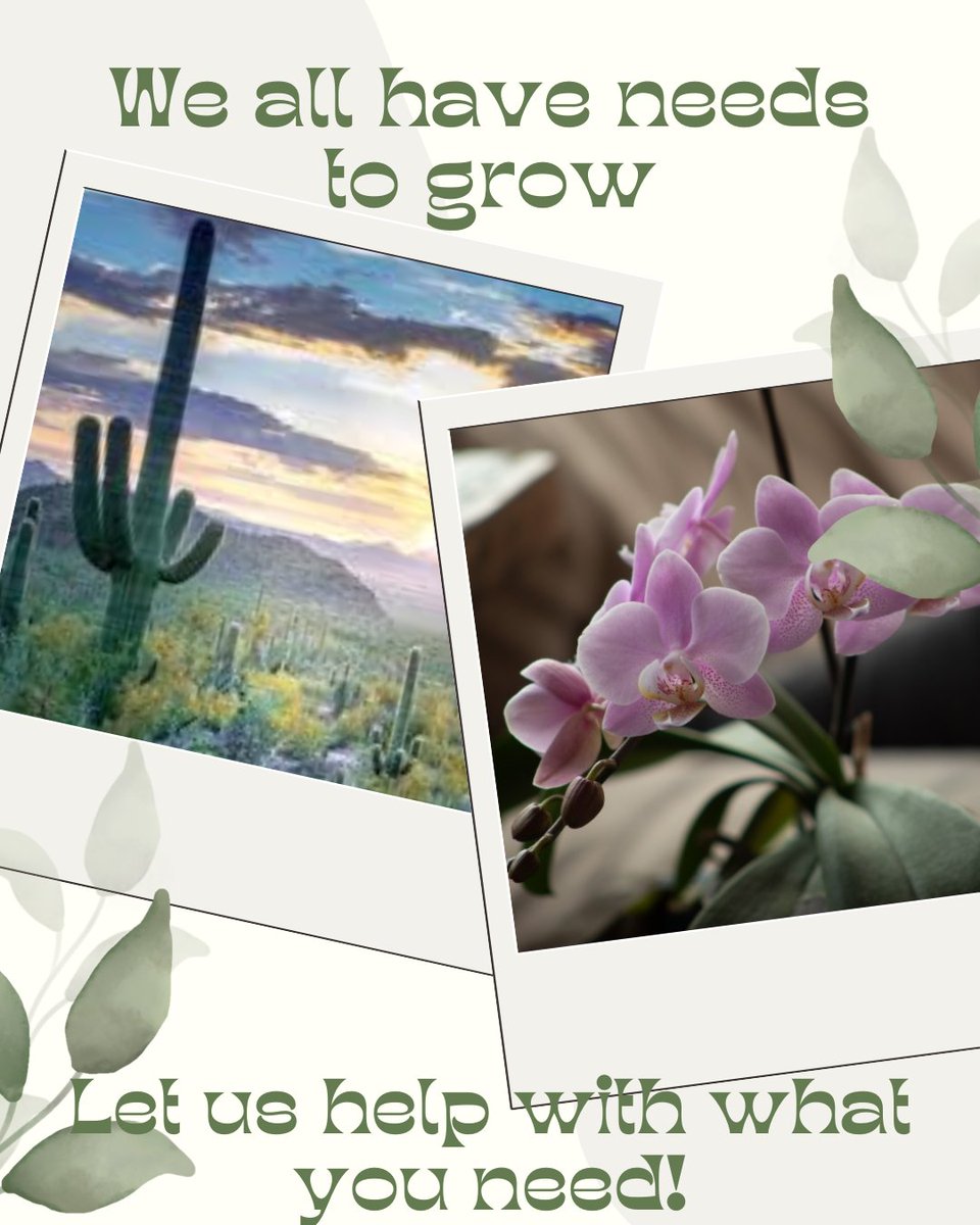 EdButlerTeam's tweet image. What do you need? Help us help you to grow your business. Contact us through the link in my bio!

myoc.io/edbutler

#anniemacnation #domore #growmore
