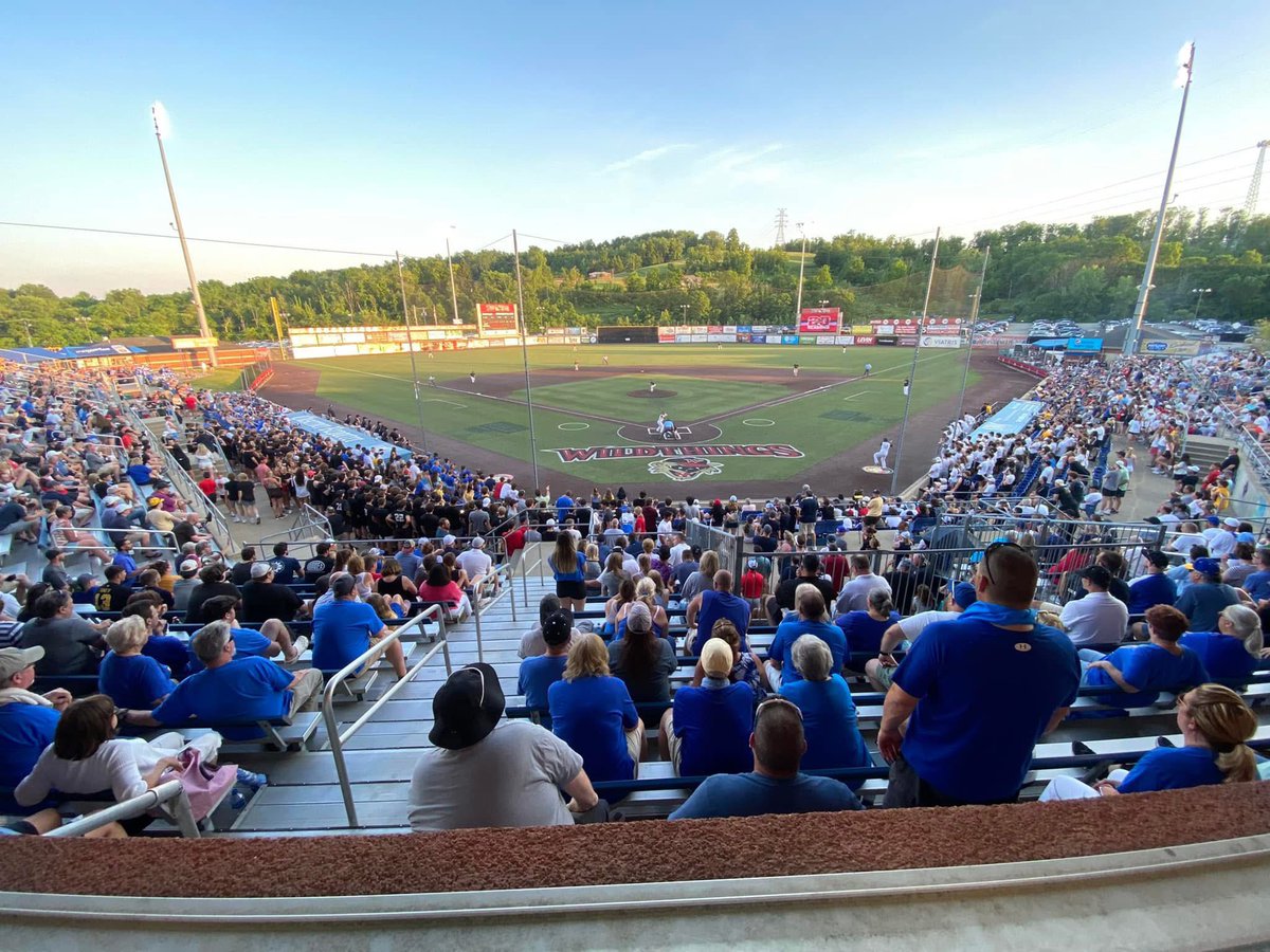 Brandon Rossi tweet media